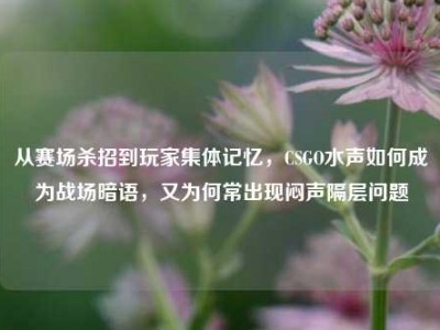 从赛场杀招到玩家集体记忆，CSGO水声如何成为战场暗语，又为何常出现闷声隔层问题
