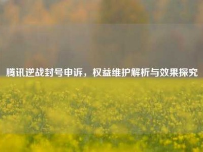 腾讯逆战封号申诉，权益维护解析与效果探究