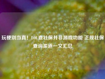 玩梗别当真！LOL查社保并非游戏功能 正规社保查询渠道一文汇总