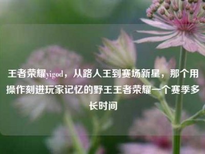 王者荣耀yigod，从路人王到赛场新星，那个用操作刻进玩家记忆的野王王者荣耀一个赛季多长时间