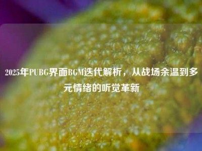 2025年PUBG界面BGM迭代解析，从战场余温到多元情绪的听觉革新