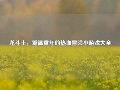 龙斗士，重温童年的热血冒险小游戏大全