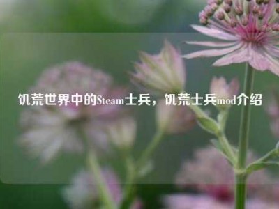 饥荒世界中的Steam士兵，饥荒士兵mod介绍