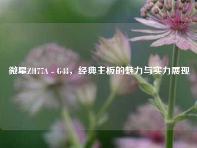 微星ZH77A - G43，经典主板的魅力与实力展现