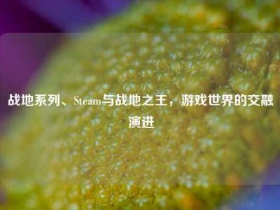 战地系列、Steam与战地之王，游戏世界的交融演进