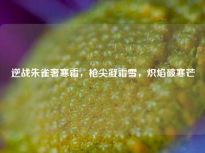逆战朱雀奢寒霜，枪尖凝霜雪，炽焰破寒芒