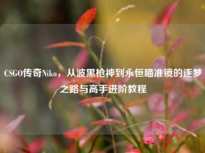 CSGO传奇Niko，从波黑枪神到永恒瞄准镜的逐梦之路与高手进阶教程
