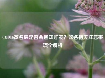 COD16改名后是否会通知好友？改名相关注意事项全解析