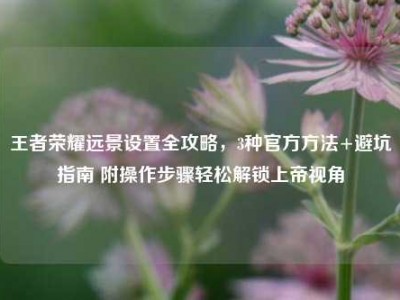 王者荣耀远景设置全攻略，3种官方方法+避坑指南 附操作步骤轻松解锁上帝视角