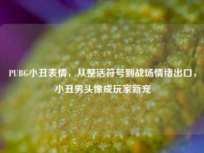 PUBG小丑表情，从整活符号到战场情绪出口，小丑男头像成玩家新宠