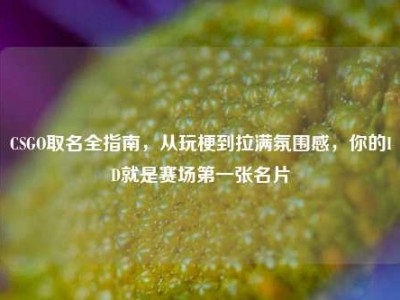 CSGO取名全指南，从玩梗到拉满氛围感，你的ID就是赛场第一张名片