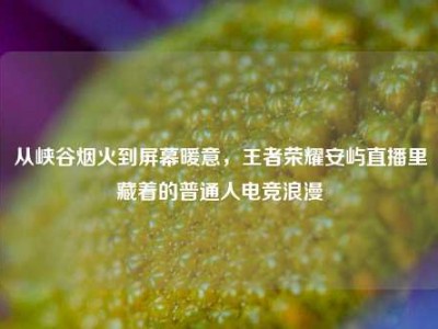 从峡谷烟火到屏幕暖意，王者荣耀安屿直播里藏着的普通人电竞浪漫