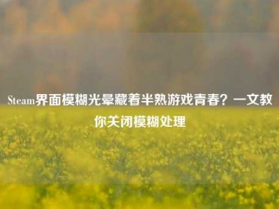 Steam界面模糊光晕藏着半熟游戏青春？一文教你关闭模糊处理