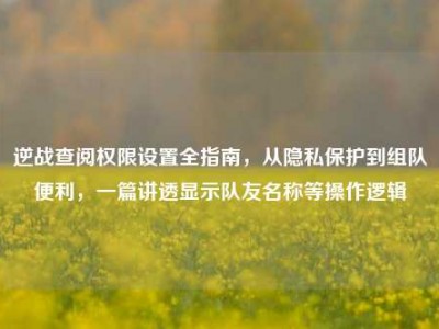 逆战查阅权限设置全指南，从隐私保护到组队便利，一篇讲透显示队友名称等操作逻辑