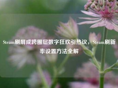 Steam刷屏成跨圈层数字狂欢引热议，Steam刷新率设置方法全解