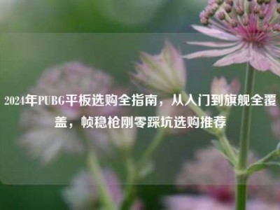 2024年PUBG平板选购全指南，从入门到旗舰全覆盖，帧稳枪刚零踩坑选购推荐