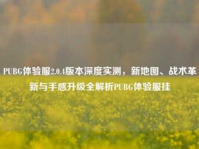 PUBG体验服2.0.4版本深度实测，新地图、战术革新与手感升级全解析PUBG体验服挂