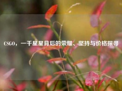 CSGO，一千星星背后的荣耀、坚持与价格探寻