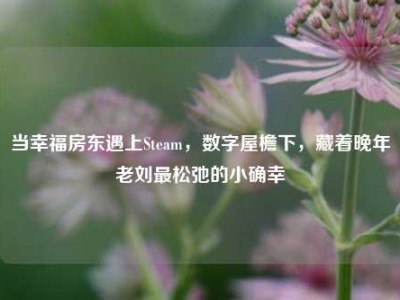 当幸福房东遇上Steam，数字屋檐下，藏着晚年老刘最松弛的小确幸