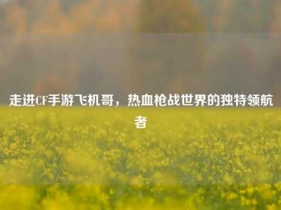 走进CF手游飞机哥，热血枪战世界的独特领航者