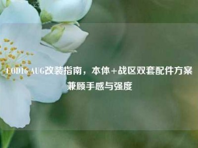 COD16 AUG改装指南，本体+战区双套配件方案兼顾手感与强度