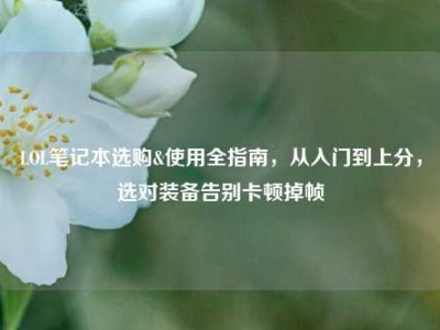 LOL笔记本选购&使用全指南，从入门到上分，选对装备告别卡顿掉帧