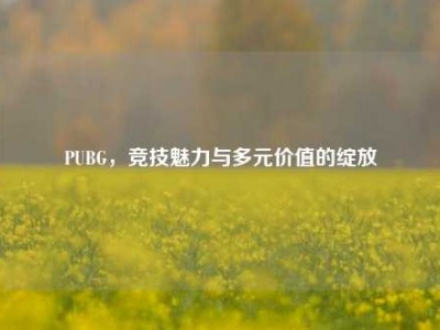 PUBG，竞技魅力与多元价值的绽放