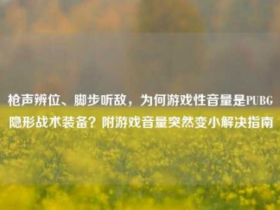 枪声辨位、脚步听敌，为何游戏性音量是PUBG隐形战术装备？附游戏音量突然变小解决指南