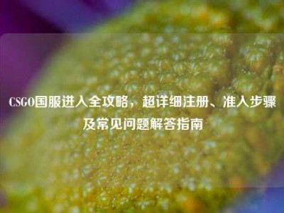 CSGO国服进入全攻略，超详细注册、准入步骤及常见问题解答指南