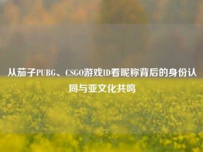 从茄子PUBG、CSGO游戏ID看昵称背后的身份认同与亚文化共鸣