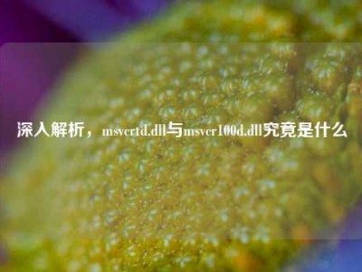 深入解析，msvcrtd.dll与msvcr100d.dll究竟是什么