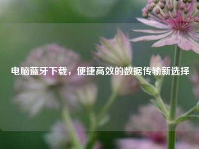 电脑蓝牙下载，便捷高效的数据传输新选择