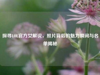 探寻LOL官方女解说，照片背后的魅力瞬间与名单揭秘