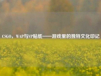 CSGO，WAP与VP贴纸——游戏里的独特文化印记