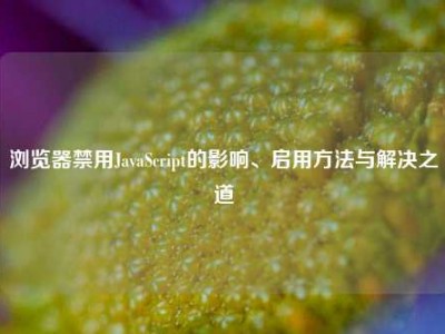 浏览器禁用JavaScript的影响、启用方法与解决之道