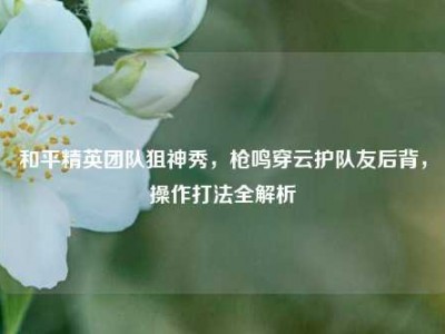 和平精英团队狙神秀，枪鸣穿云护队友后背，操作打法全解析