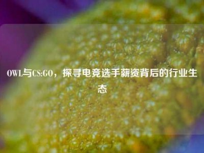 OWL与CS:GO，探寻电竞选手薪资背后的行业生态