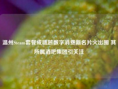 温州Steam套餐成瓯越数字消费新名片火出圈 其所属酒吧集团引关注