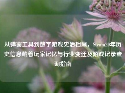 从弹窗工具到数字游戏史活档案，Steam20年历史信息藏着玩家记忆与行业变迁及游戏记录查询指南