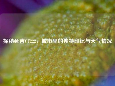 探秘延吉CF222，城市里的独特印记与天气情况