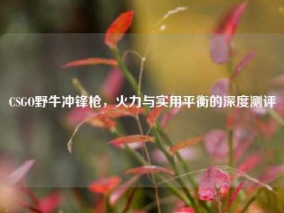CSGO野牛冲锋枪，火力与实用平衡的深度测评