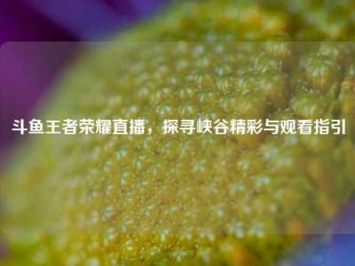 斗鱼王者荣耀直播，探寻峡谷精彩与观看指引