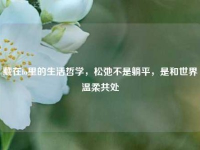 藏在fo里的生活哲学，松弛不是躺平，是和世界温柔共处