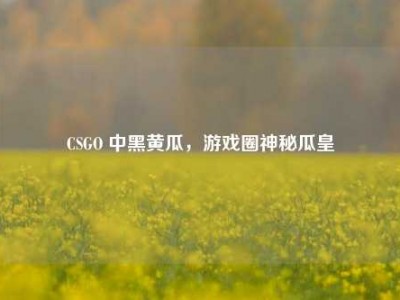 CSGO 中黑黄瓜，游戏圈神秘瓜皇
