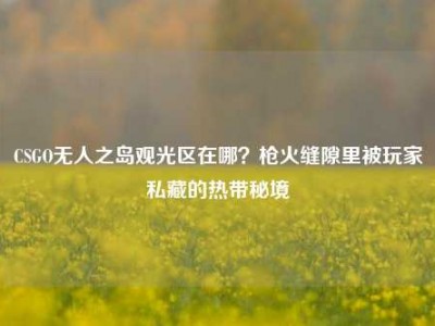 CSGO无人之岛观光区在哪？枪火缝隙里被玩家私藏的热带秘境