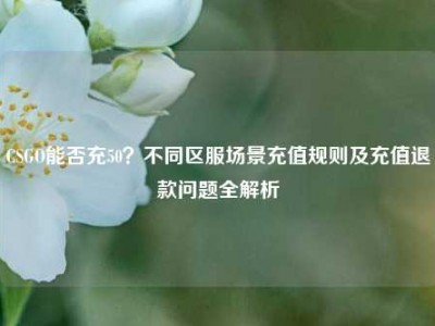 CSGO能否充50？不同区服场景充值规则及充值退款问题全解析