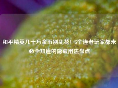 和平精英几十万金币别乱花！5个连老玩家都未必全知道的隐藏用法盘点
