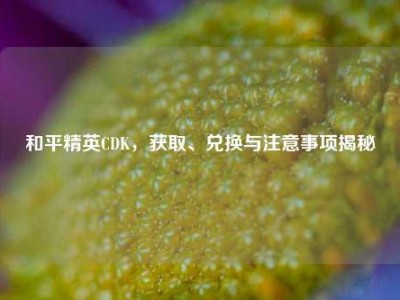 和平精英CDK，获取、兑换与注意事项揭秘