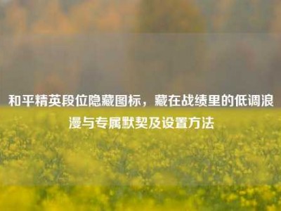 和平精英段位隐藏图标，藏在战绩里的低调浪漫与专属默契及设置方法