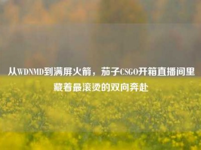 从WDNMD到满屏火箭，茄子CSGO开箱直播间里藏着最滚烫的双向奔赴